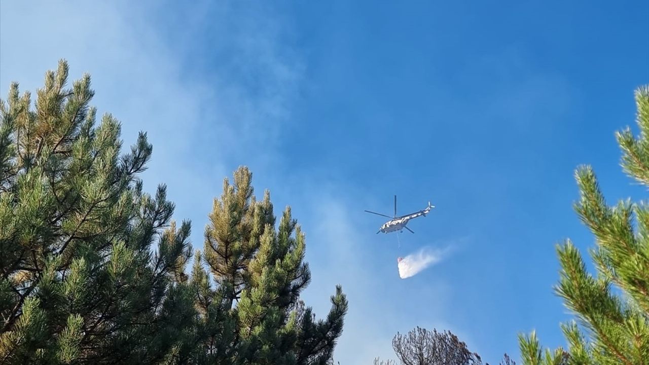 Konya'da Orman Yangını Kontrol Altına Alındı