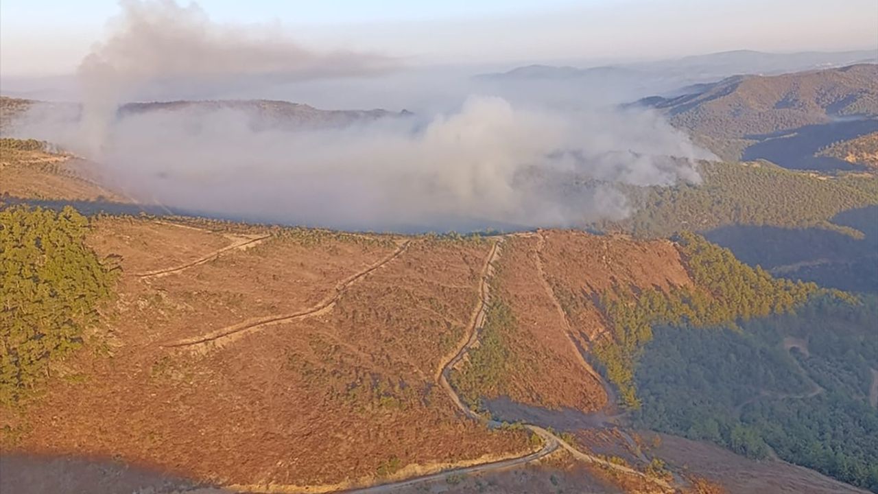 Manisa'nın Orman Yangınlarına Müdahale Devam Ediyor