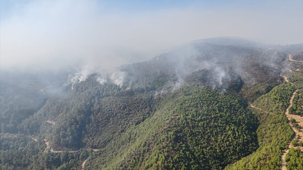 Manisa Orman Yangınları: Müdahale Devam Ediyor