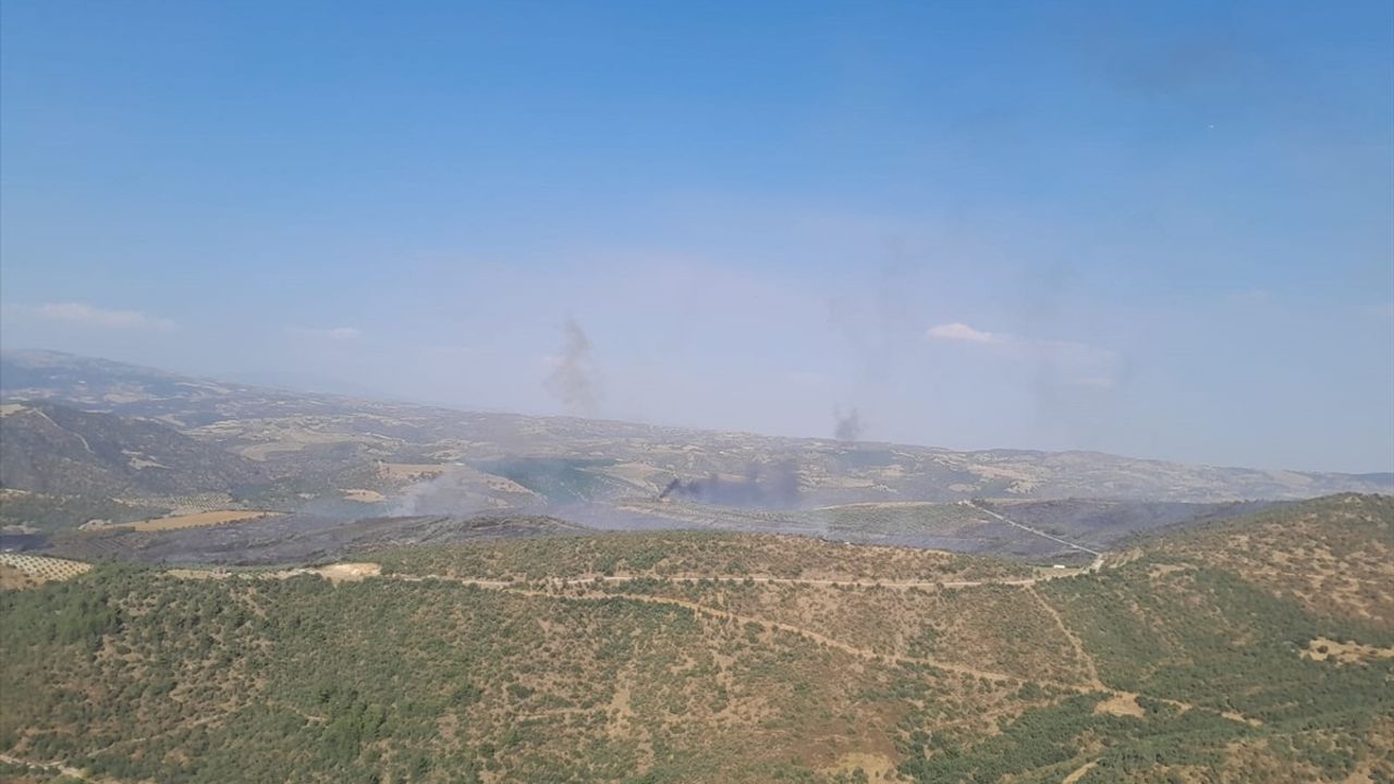 Manisa Salihli'de Orman Yangınına Hızla Müdahale