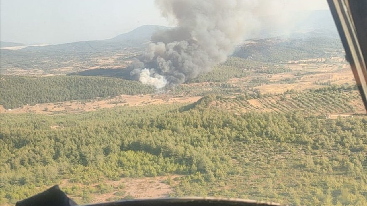 Milas'taki Orman Yangınına Mücadele Devam Ediyor