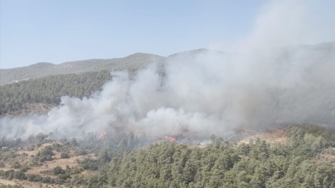 Muğla'nın Milas İlçesindeki Orman Yangınına Müdahale Devam Ediyor