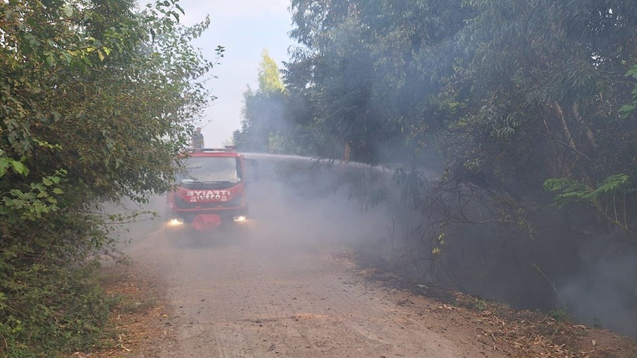 Osmaniye'deki Orman Yangını Kontrol Altına Alındı