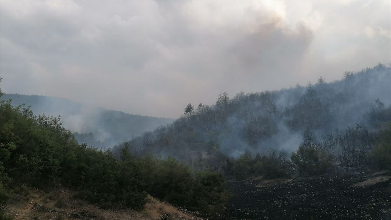 Tokat'ta Orman Yangınına Hızlı Müdahele