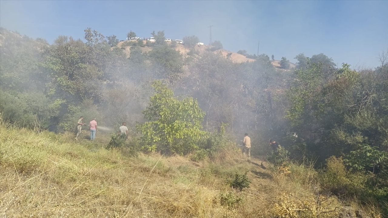 Tunceli'de Orman Yangınına Müdahale Devam Ediyor