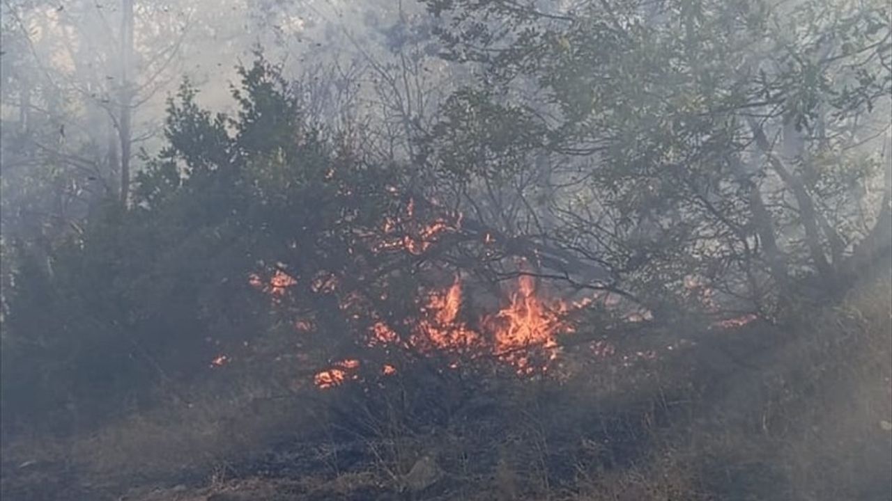 Tunceli'de Yangın Mücadelesi Sürüyor