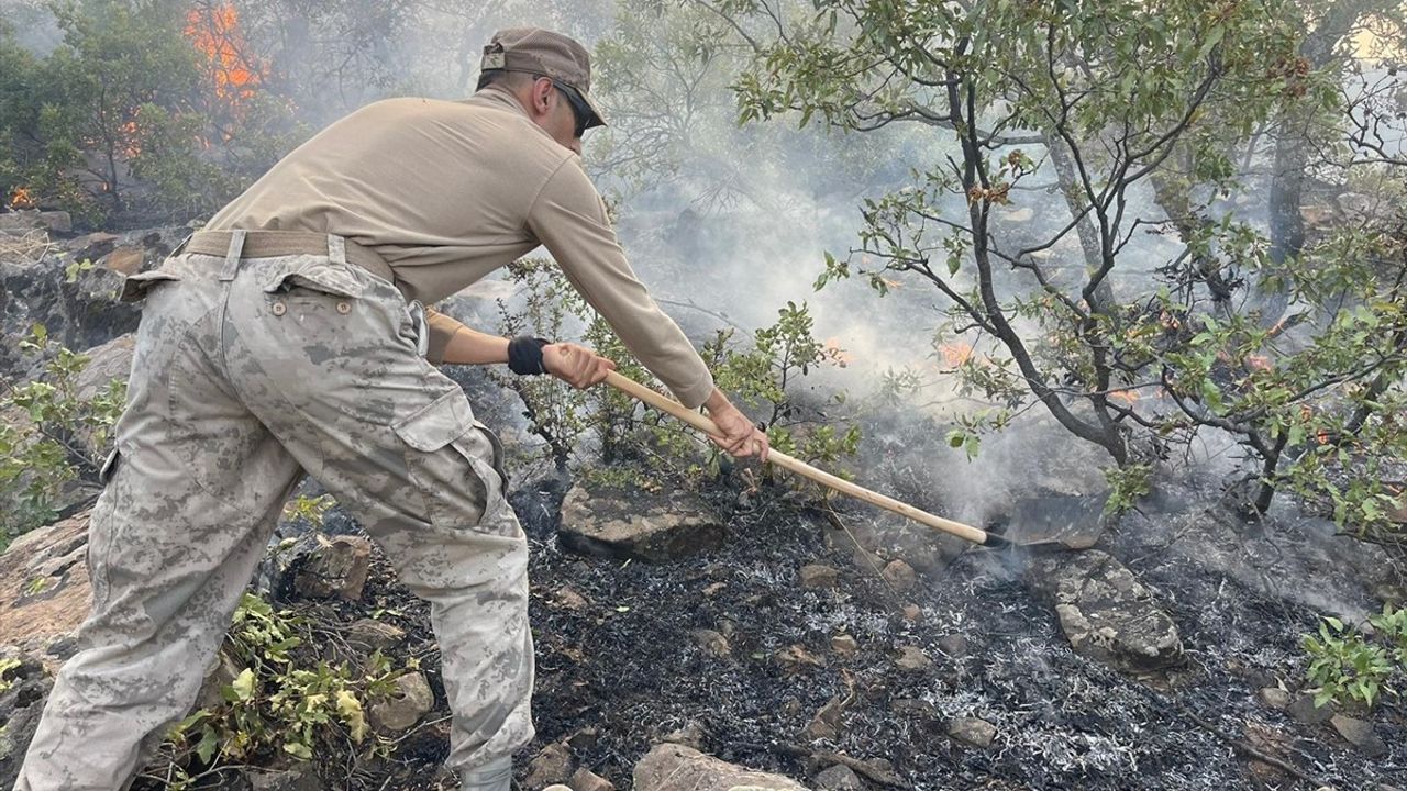 Tunceli'deki Orman Yangınına Havadan ve Karadan Müdahale