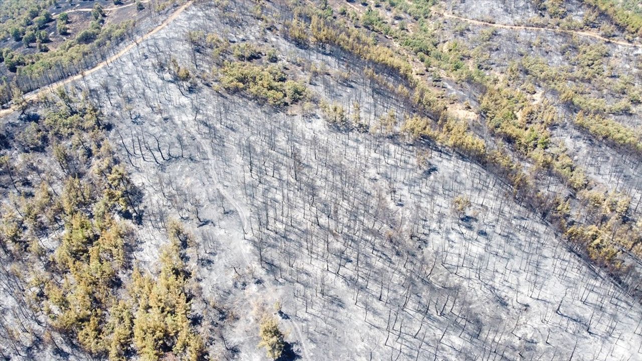 Uşak'taki Orman Yangını Hava Görüntüleriyle Belgelendi