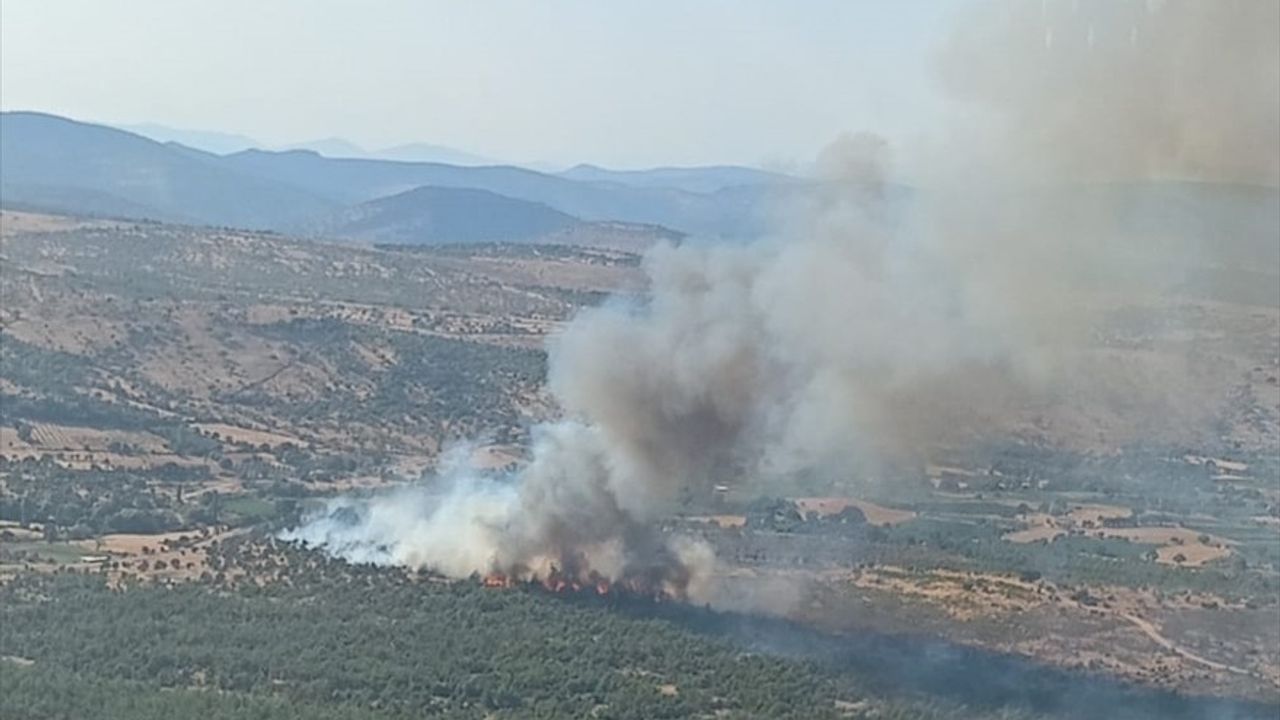 Yunusemre'de Orman Yangınına Müdahale Başlatıldı