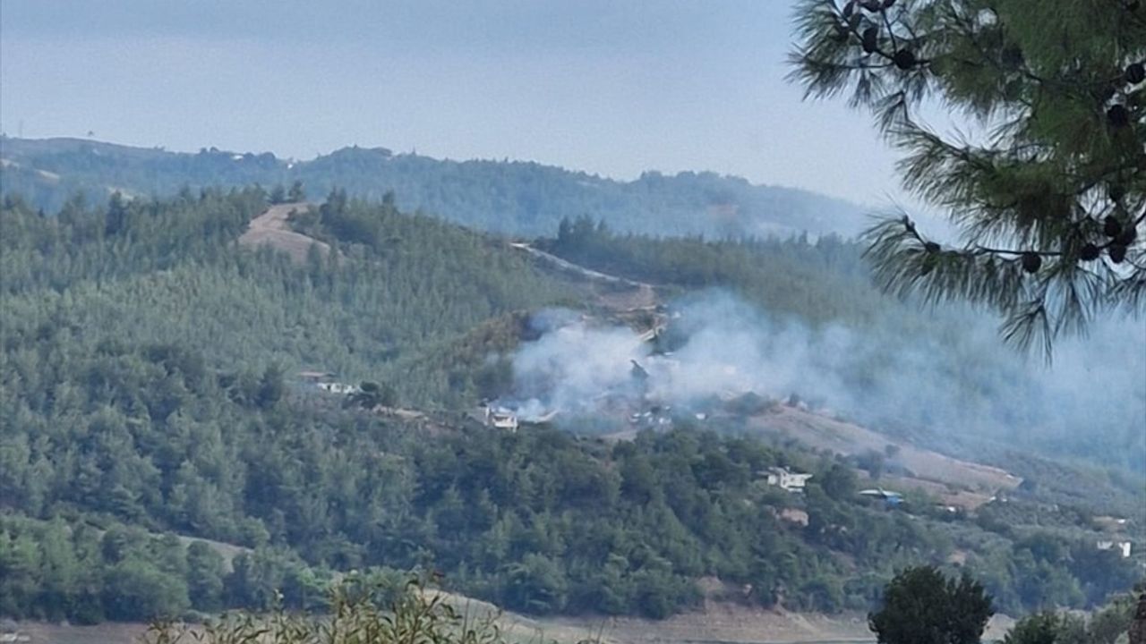 Adana'da Orman Yangınıyla Mücadele Başlatıldı