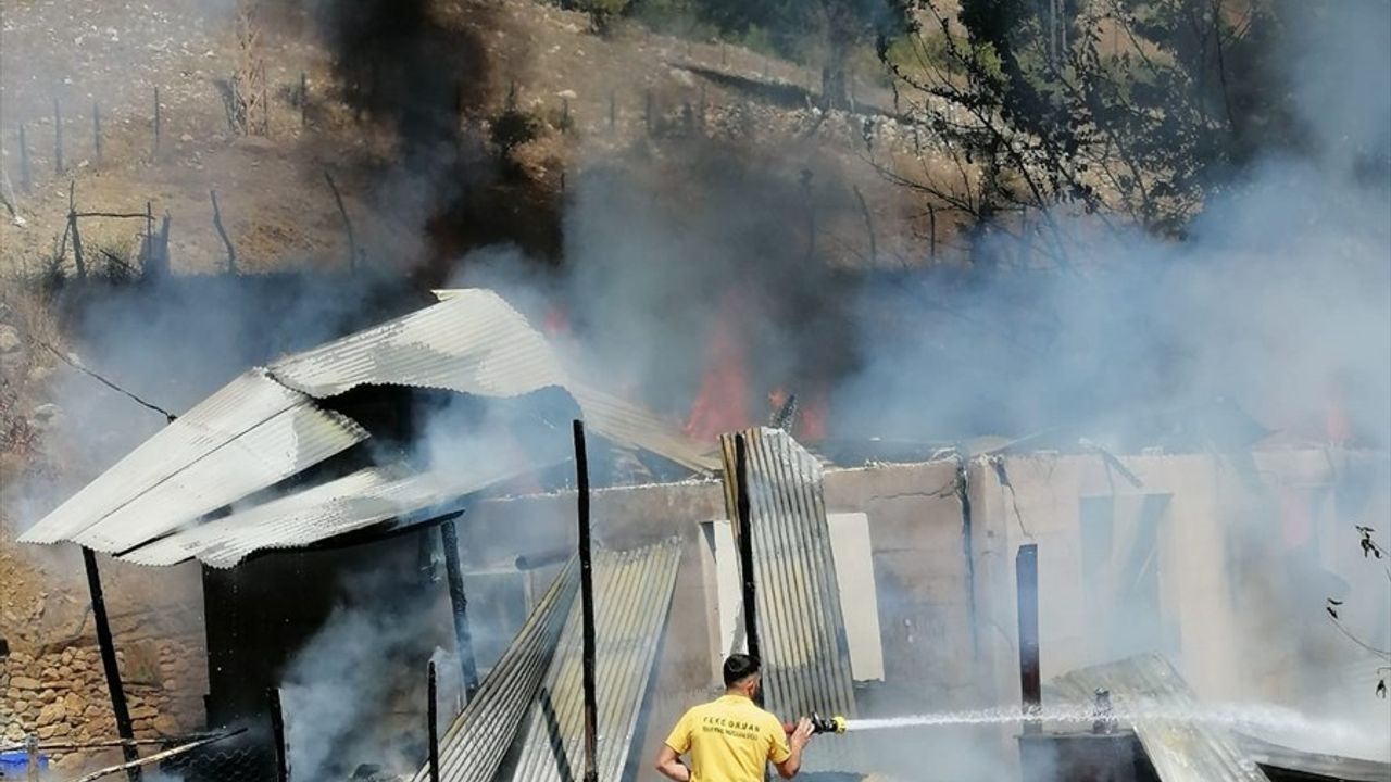 Adana'da Yangın Kontrol Altında: Ormanlık Alana Sıçramadan Söndürüldü