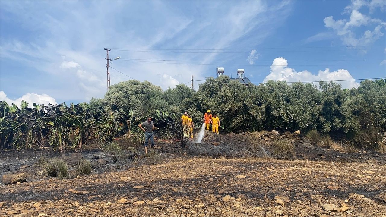 Antalya'da Yangın: Otluk Alan Muz Bahçelerine Sıçradı