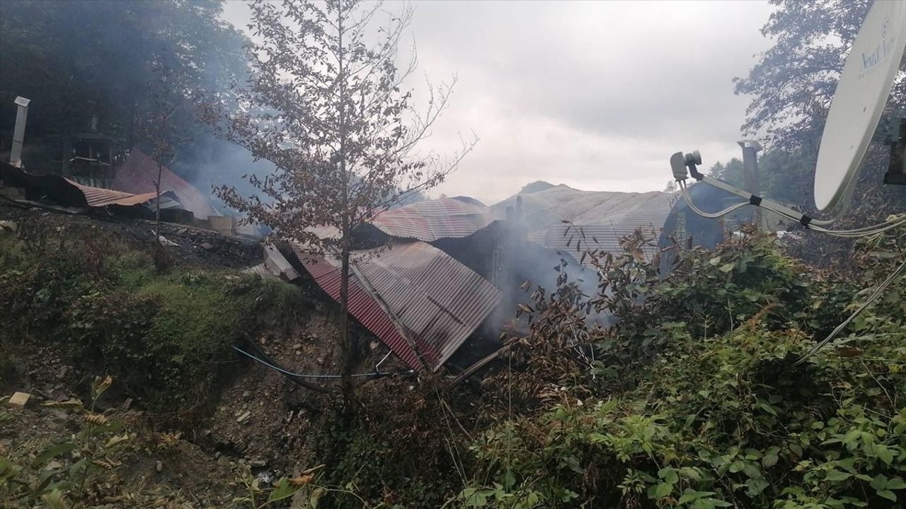 Artvin'de Bir Restoran Yangınında Büyük Hasar