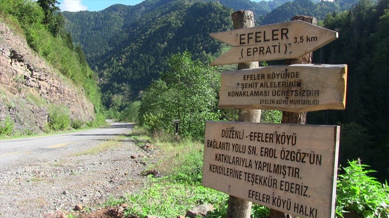 Artvin'de Köylüler İmece Usulüyle Yol Onarıyor