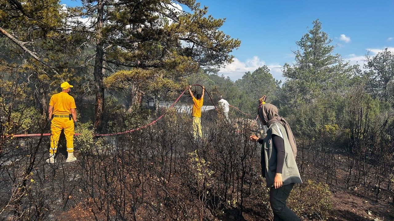 Burdur Çeltikçi'de Orman Yangını Kontrol Altına Alındı