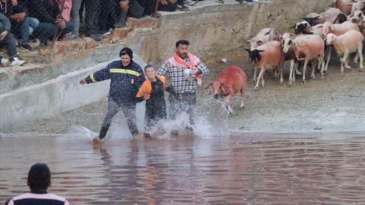 Burdur'da 700 Yıllık Koyun Geçirme Geleneği Yaşatılıyor