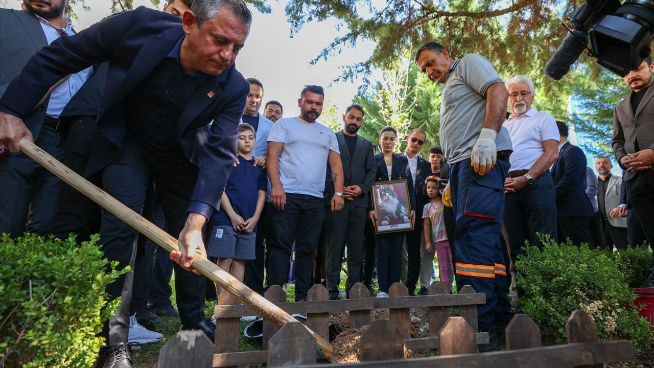 CHP'nin Kedisi Şero Son Yolculuğuna Uğurlandı