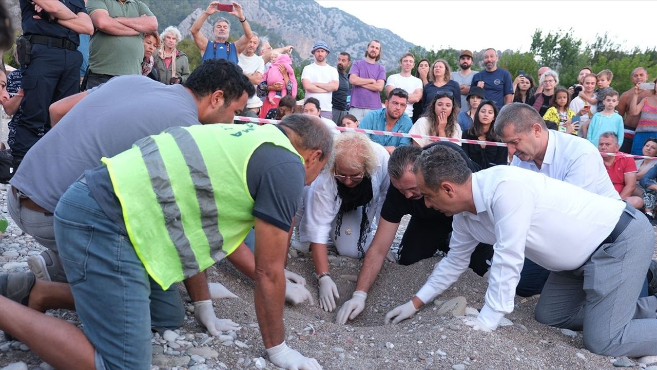 Çıralı Sahilinde Caretta Caretta Yavruları Denizle Buluştu