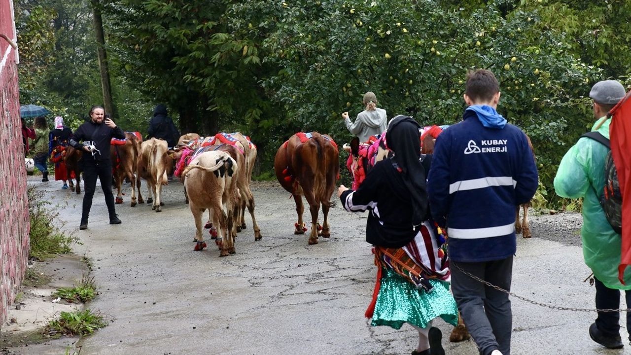 Doğu Karadeniz'de Besicilerin Yayla Dönüş Yolculuğu Başladı