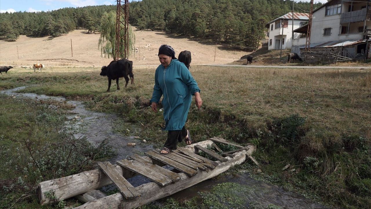 Eğriçimen ve Perşembe Yaylaları: Doğanın Kalbinde Tazelenin