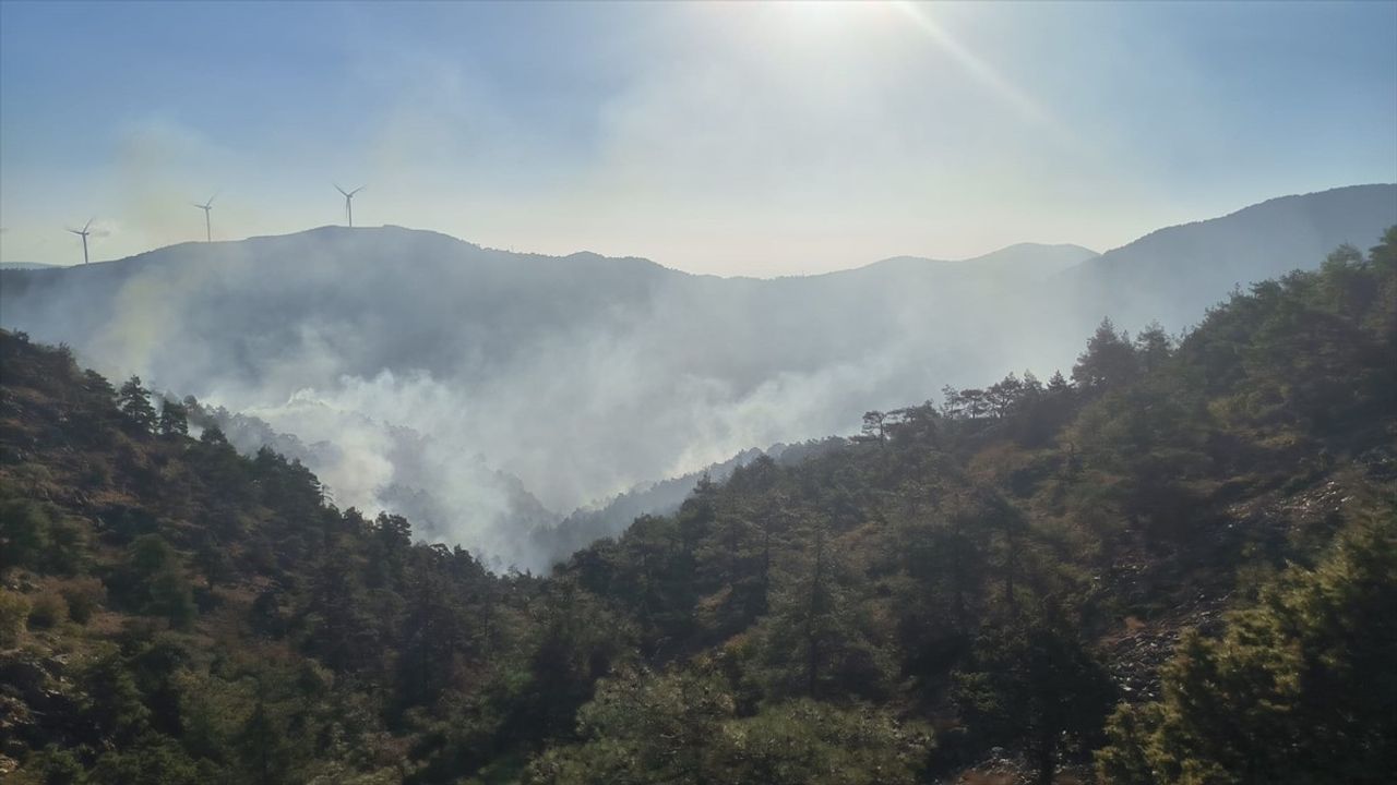 Hatay'daki Orman Yangınına Havadan ve Karadan Müdahale