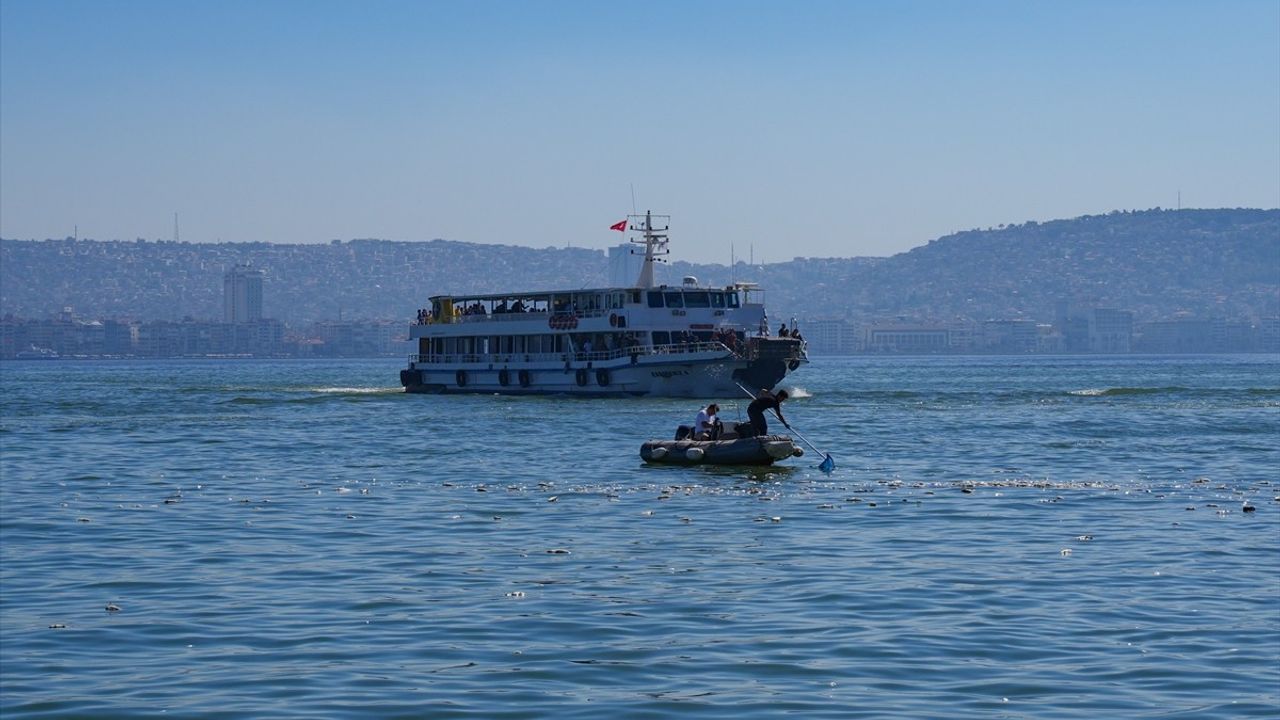 İzmir Körfezi'nde Balık Ölümleri Devam Ediyor