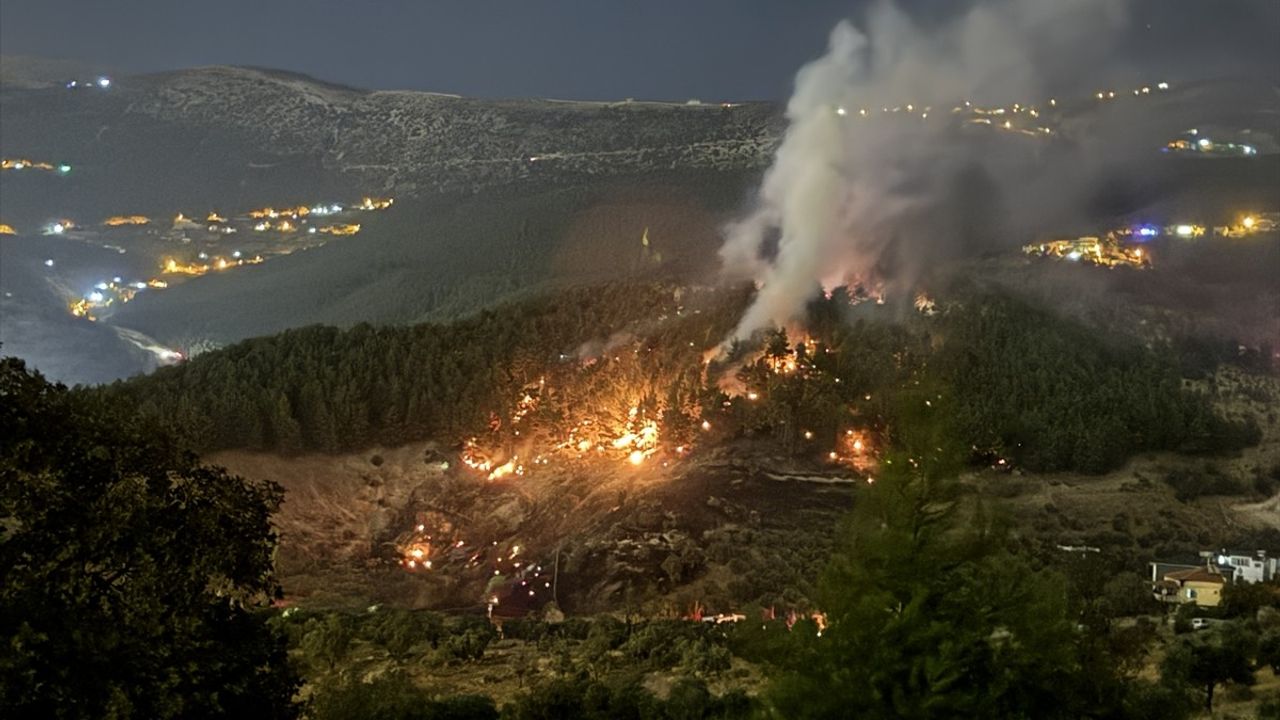 Kahramanmaraş'taki Orman Yangını Kontrol Altına Alındı