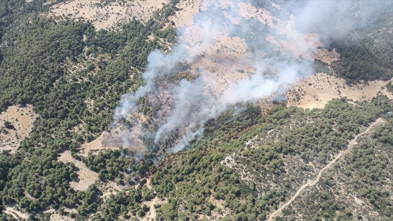 Kaş'ta Orman Yangını: Ekipler Seferber Oldu