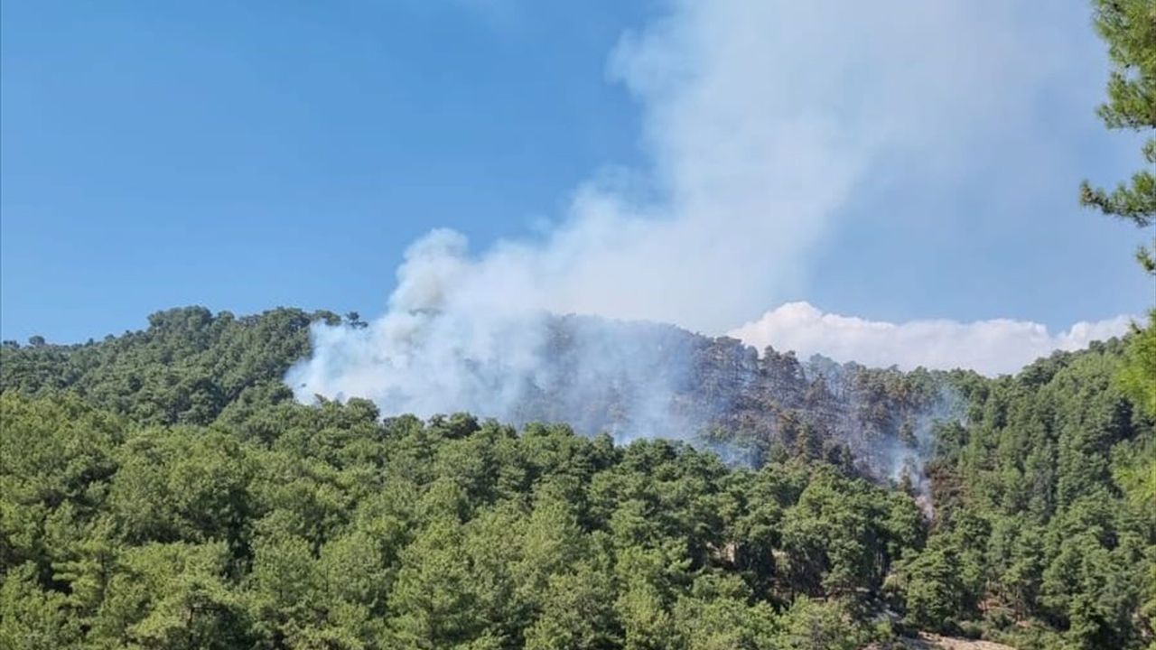 Kaş'taki Orman Yangınıyla İlgili Gözaltı Süreci Tamamlandı