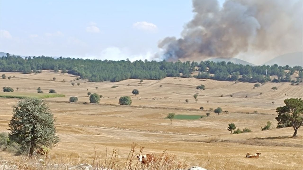 Kütahya'da Anız Yangını Ormana Sıçradı