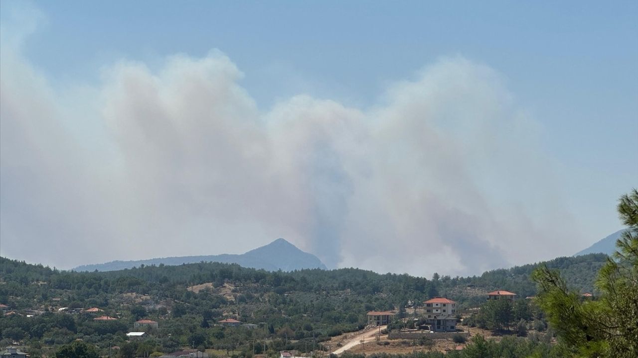 Muğla'daki Orman Yangınına Hızla Müdahale Edeiliyor