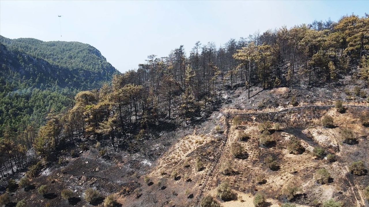 Muğla'daki Orman Yangınında Müdahale Hız Kesmeden Devam Ediyor