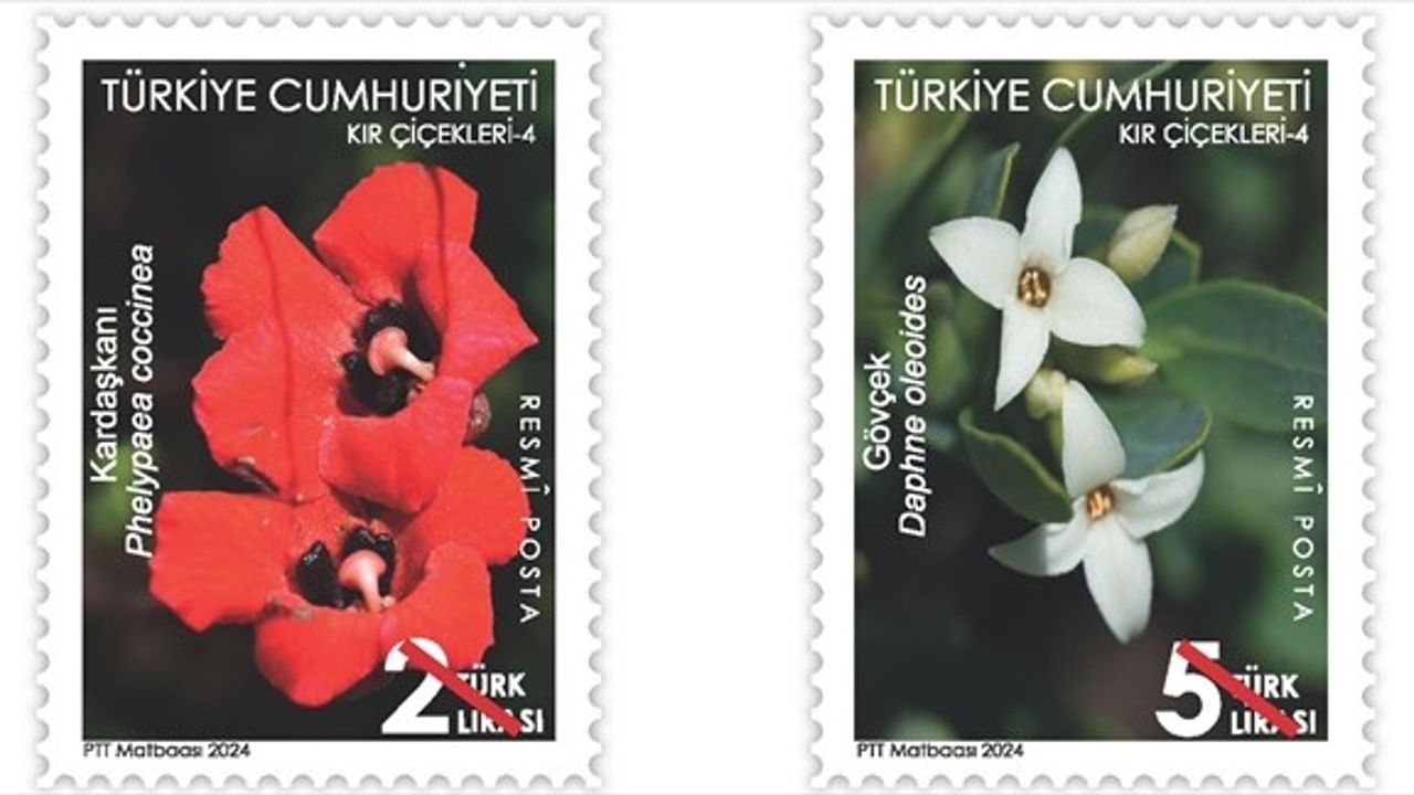 PTT Yeni Posta Pulunu Tanıttı: Kır Çiçekleri-4