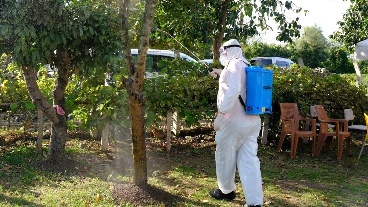 Samsun'da Çiftçilere Kahverengi Kokarca ile Mücadele Eğitimi Verildi