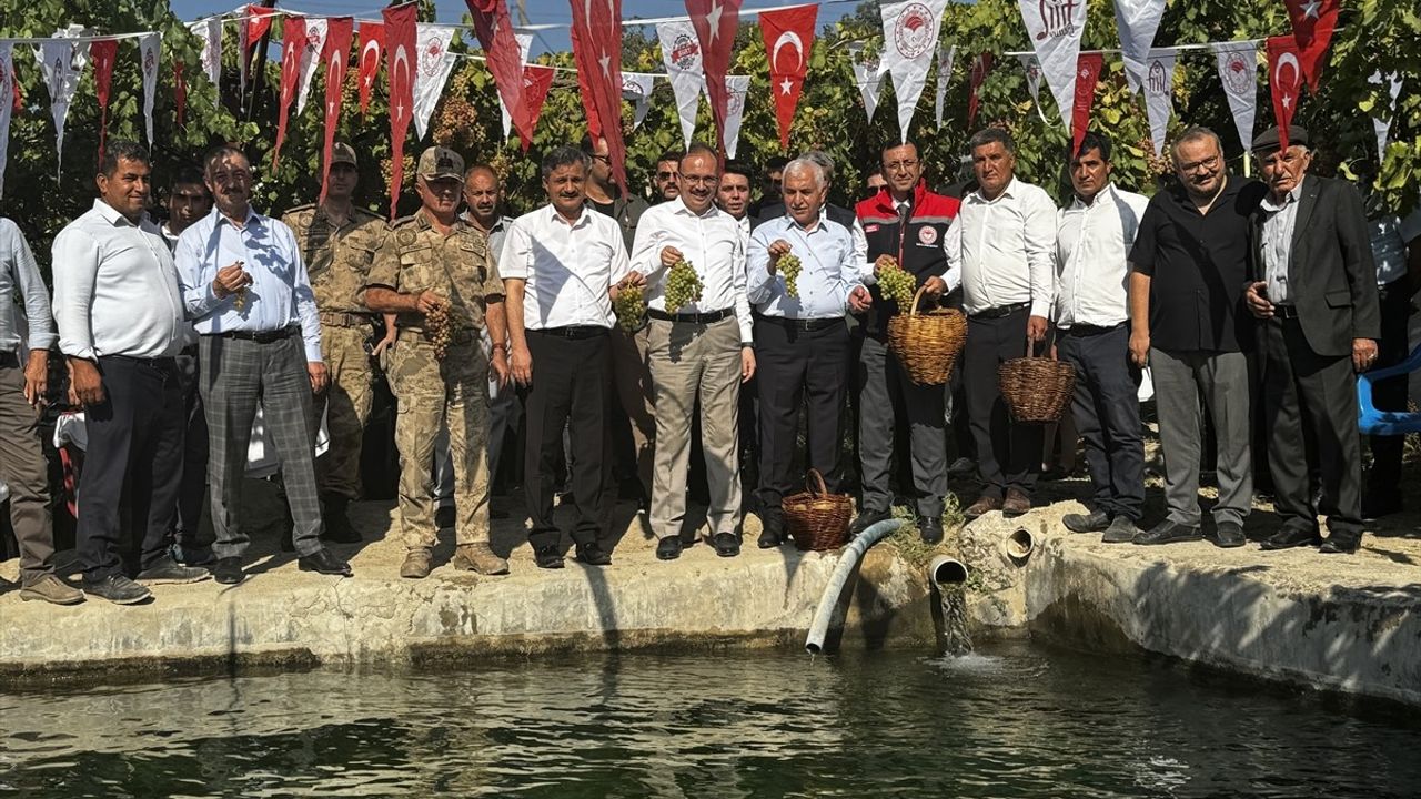 Siirt'te Tayfi Üzüm Hasadı Başladı