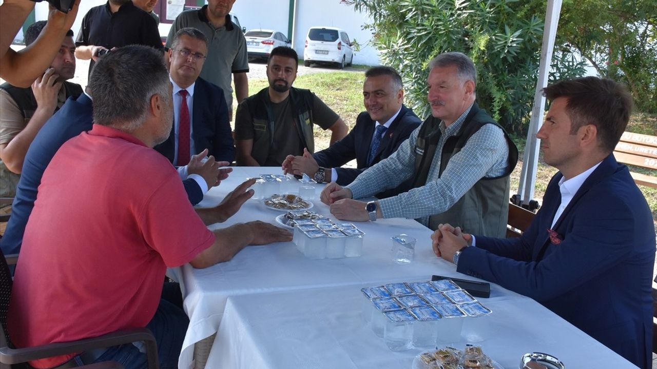 TMO Genel Müdürü Güldal Ordu'da Fındık Alım Sürecini Değerlendirdi