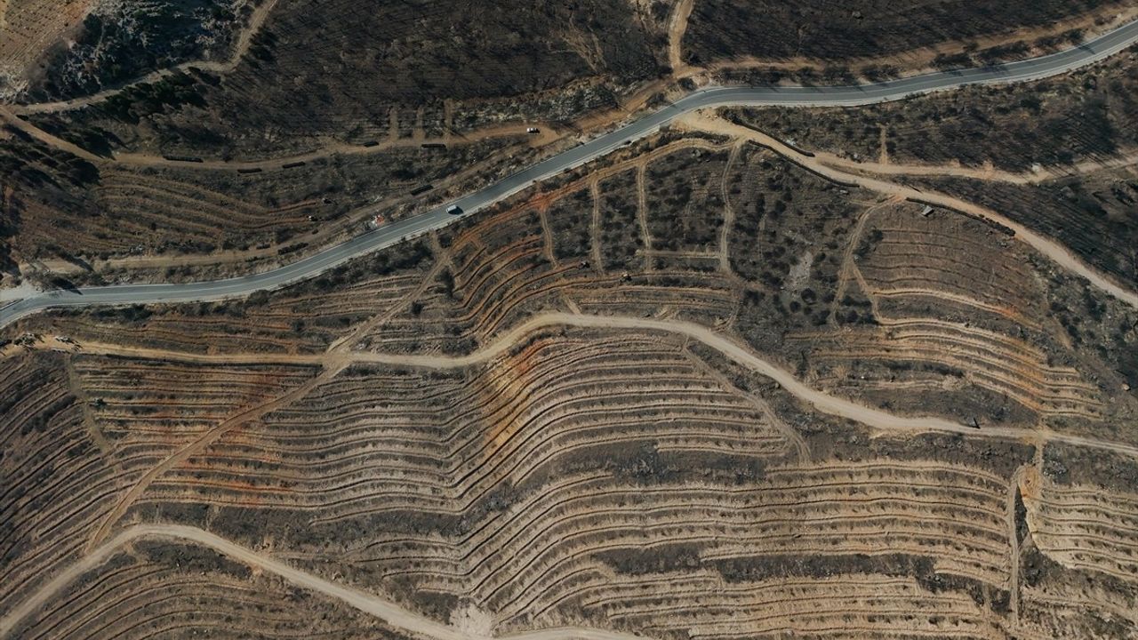 Yamanlar Orman Yangınında Zarar Gören Alan Yeniden Ağaçlandırılacak