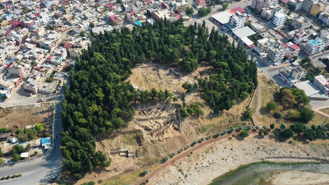 Yumuktepe Höyüğü'nde 9 Bin Yıllık İki Buğday Türü Keşfedildi