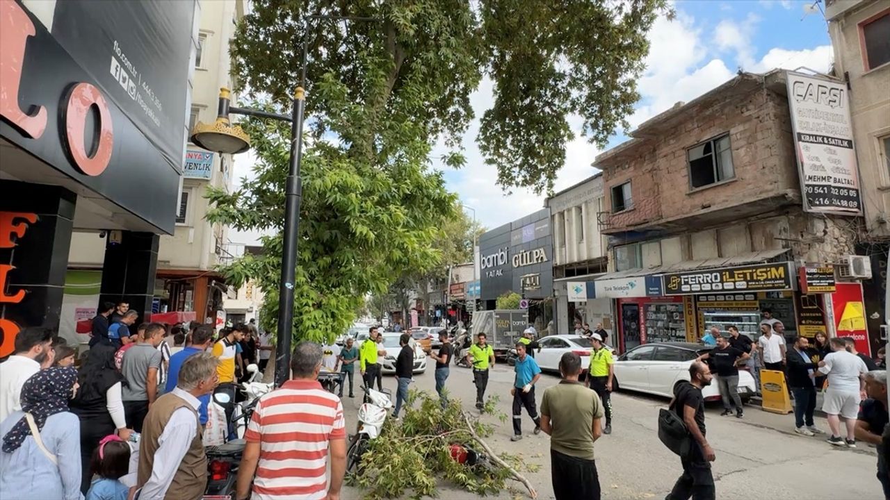 Adıyaman'da Rüzgarın Kırdığı Dal Motosiklet Sürücüsünü Yaraladı