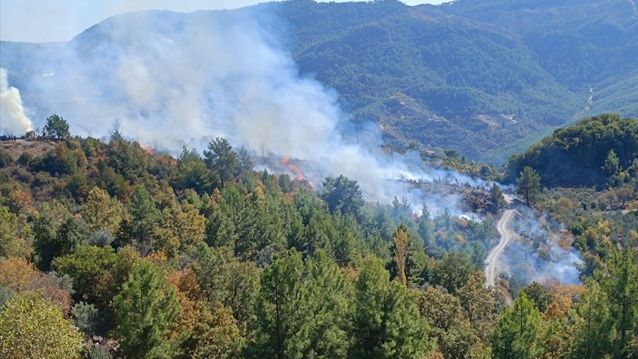 Alanya'daki Zirai Yangın Kontrol Altına Alındı