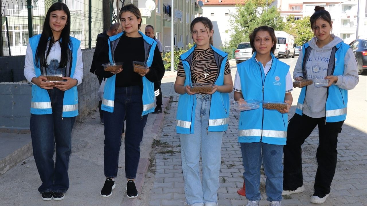 Amasya'da Öğrenciler Sokak Hayvanları İçin Yardımda Bulundu