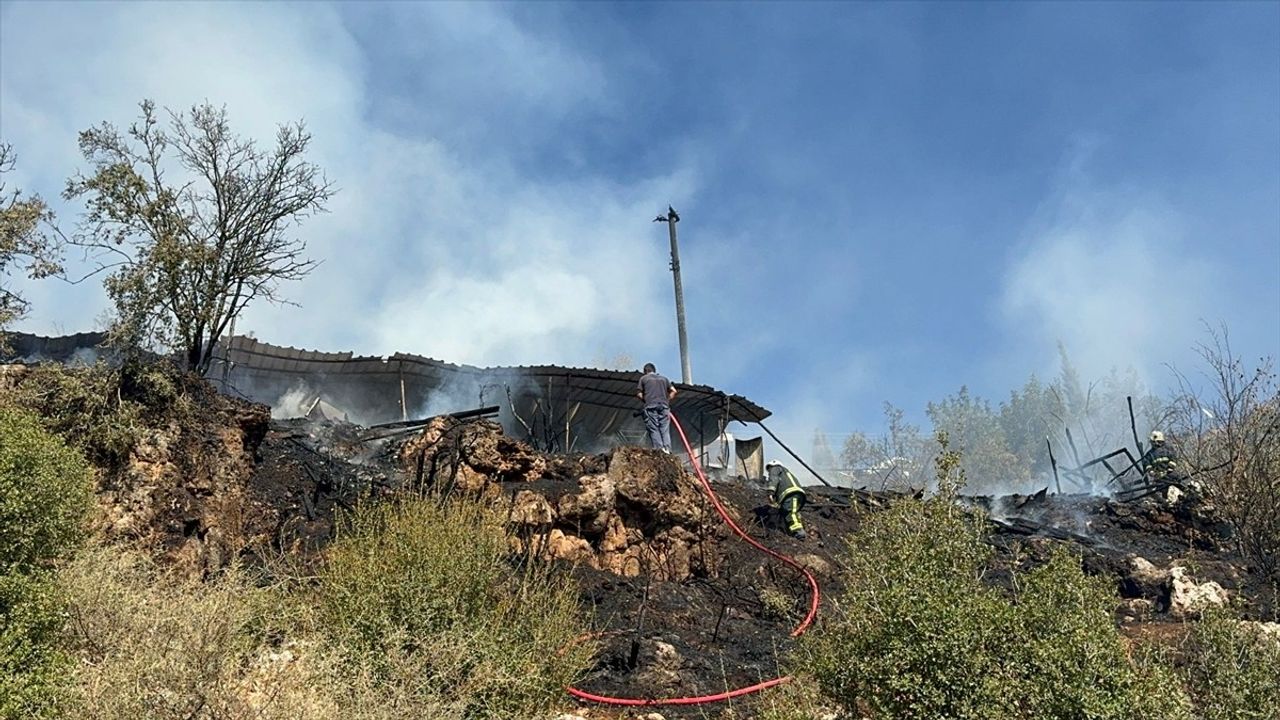 Antalya'da Yangın Felaketi: 50 Küçükbaş Hayvan Telef Oldu