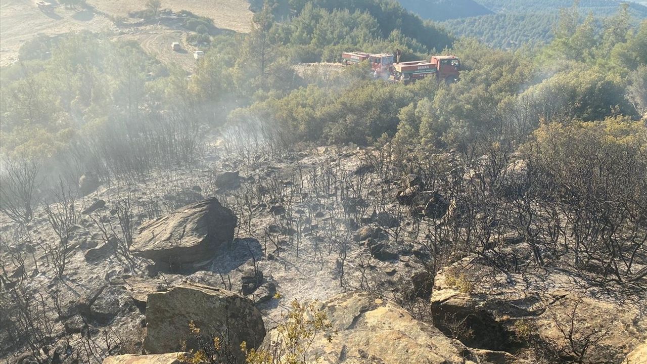 Aydın'da Makilik Alanda Yangın Kontrol Altına Alındı