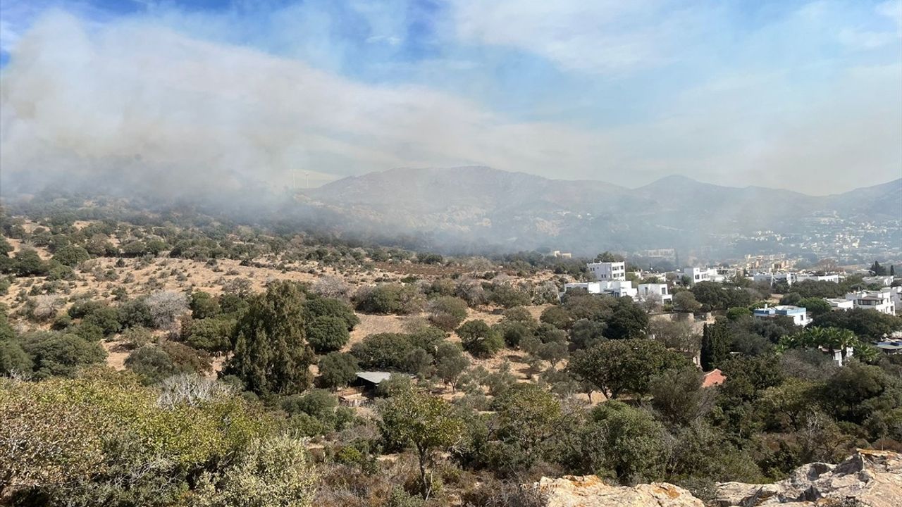 Bodrum'daki Yangında 5 Hektar Alan Zarar Gördü