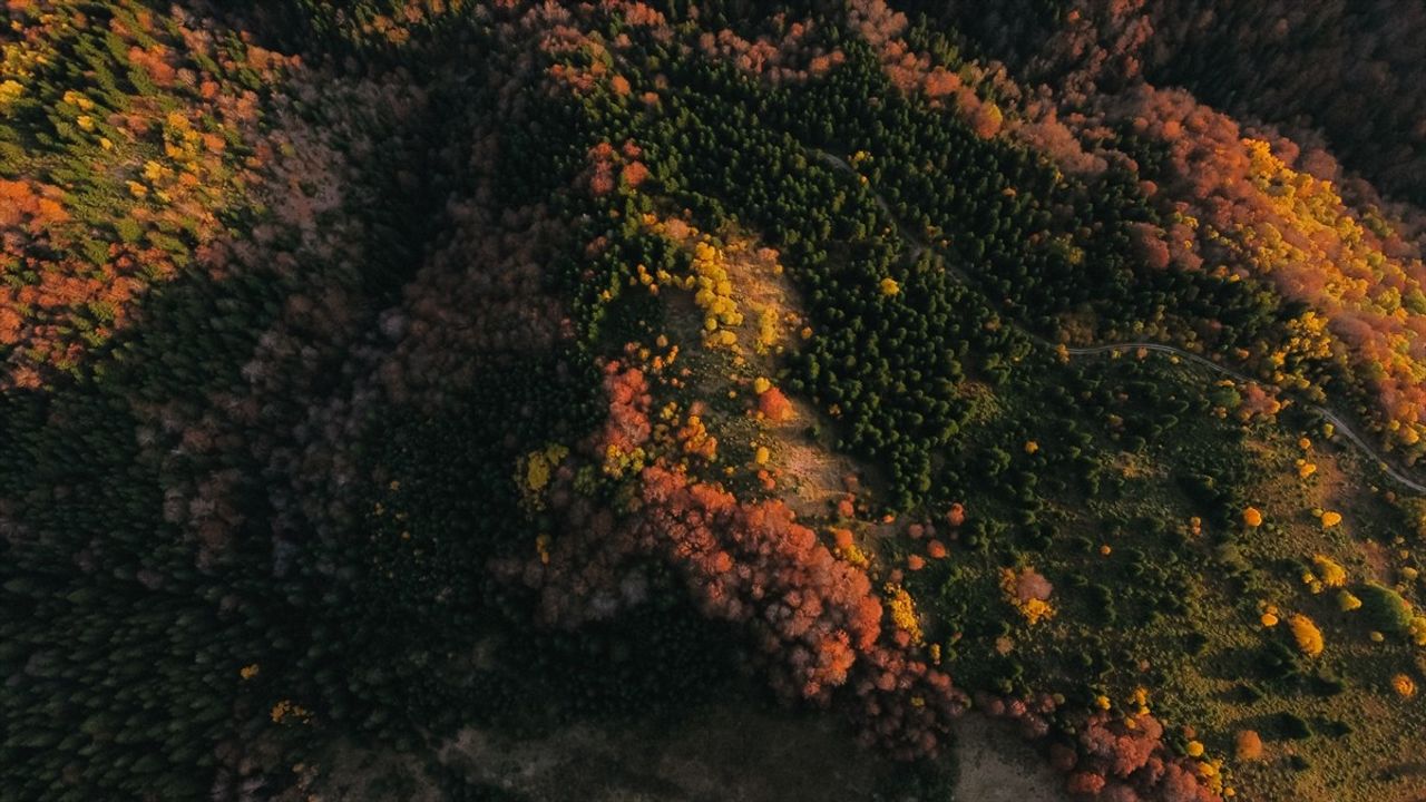 Bosna Hersek'in Sonbahar Renkleri