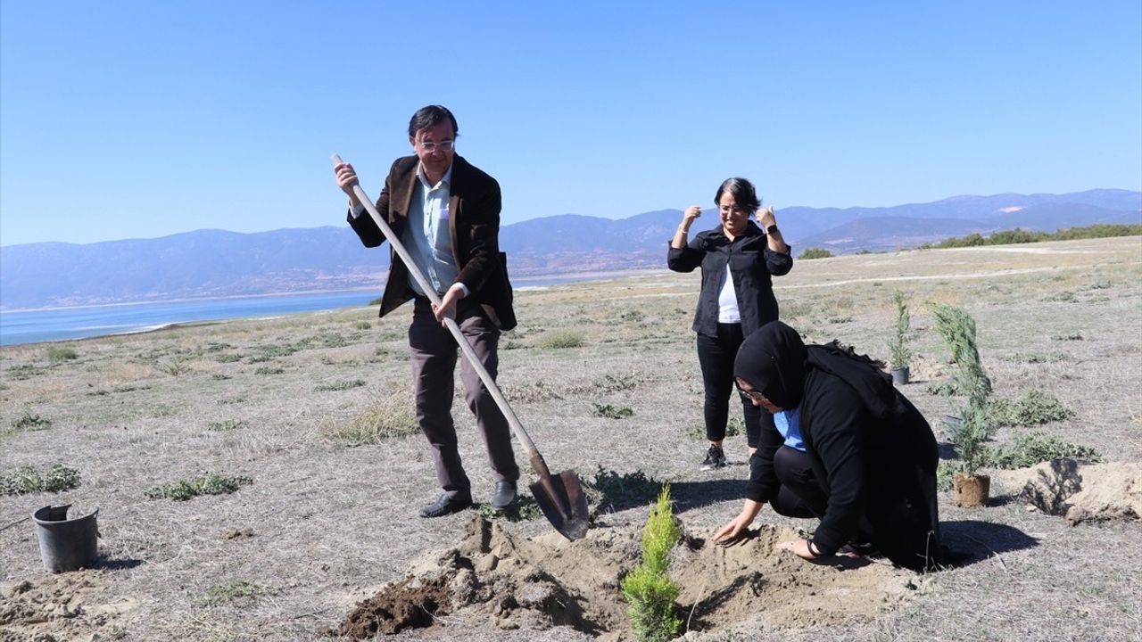 Burdur Gölü'ne Ağaç Dikeyerek Kuruma Tehdidine Dikkat Çekildi