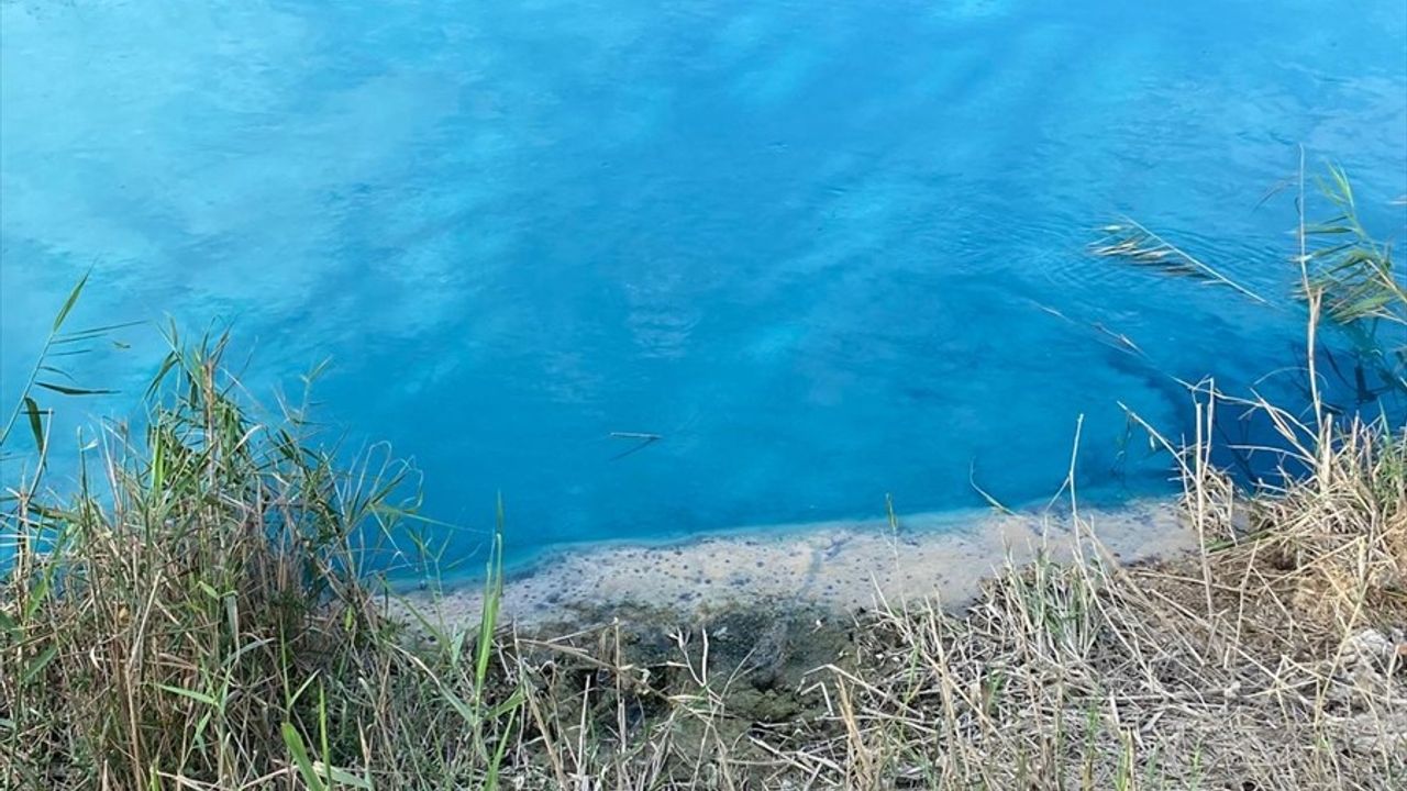 Çorlu Deresi'nde Turkuaz Renk Şaşkınlık Yarattı