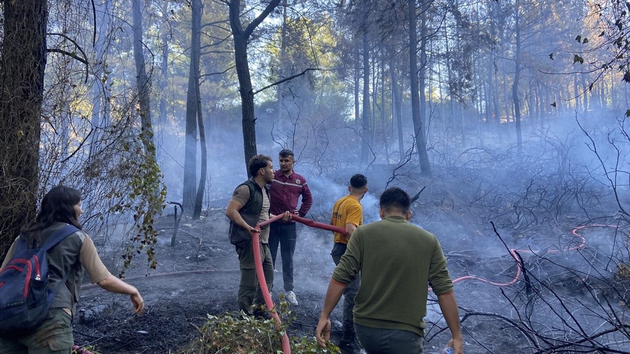 Dalaman'da Orman Yangınına Hızla Müdahale