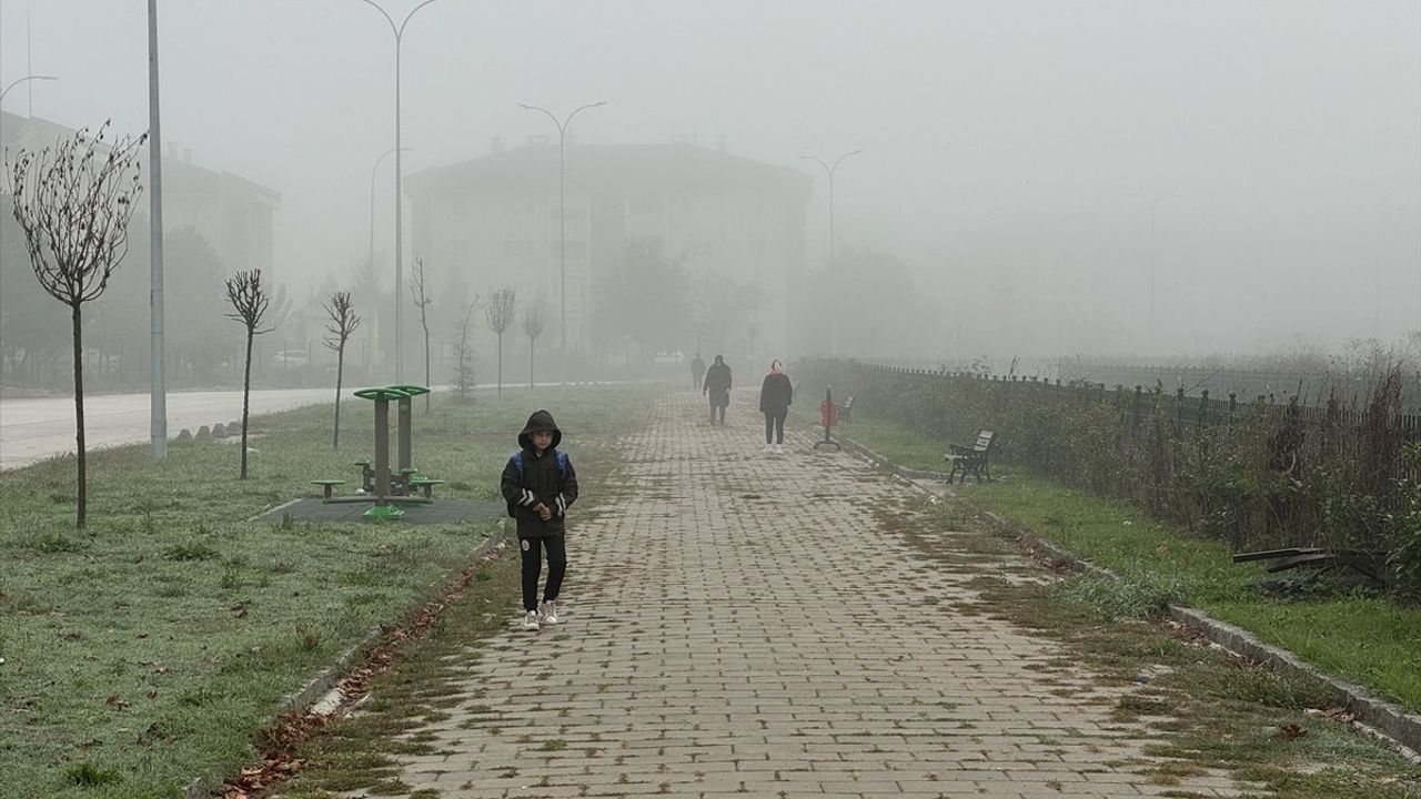 Düzce'de Yoğun Sis Etkisi