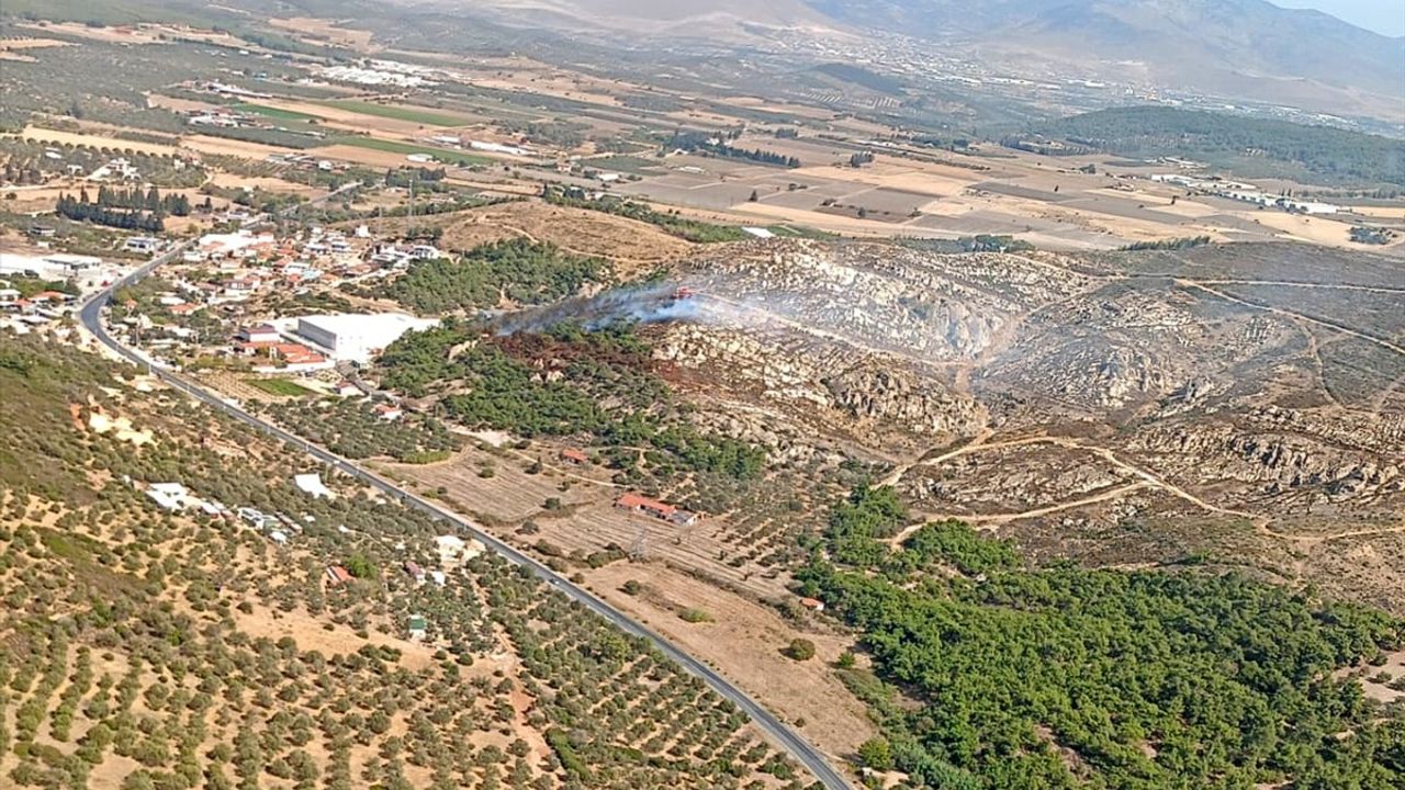 Foça'daki Orman Yangınına Acil Müdahale